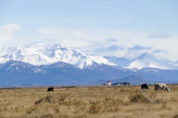 aéroport Puerto Natales Patagonie