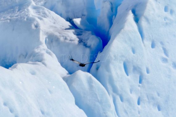 condor glacier