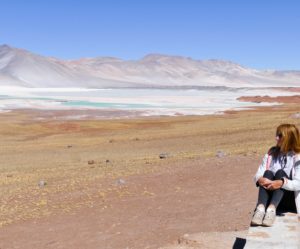 Désert d'Atacama - Lagunes du Salar et Geyser du Tatio