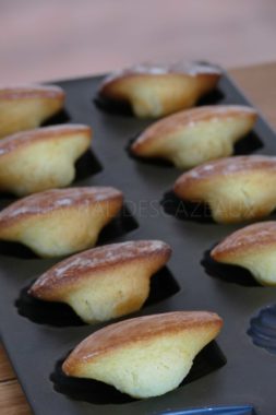 madeleines