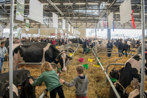 Foire de Bordeaux