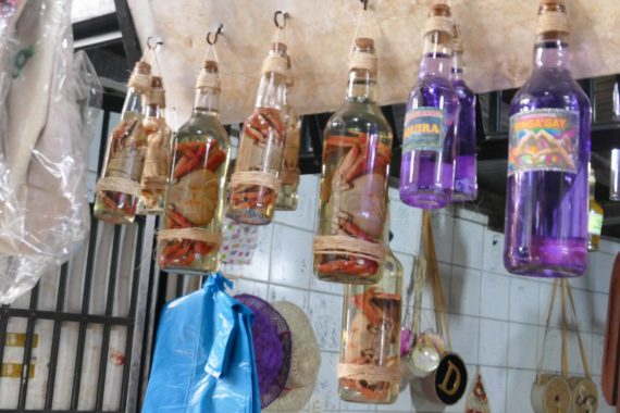 São Luís - Crabes dans bouteilles