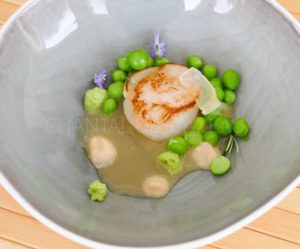 Saint-Jacques et petits pois - Recette de Nicolas Rondelli