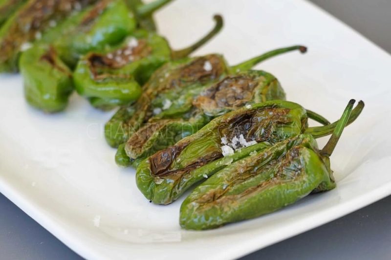 Pimientos de Padrón - Tapas