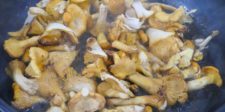 Poêlée de girolles