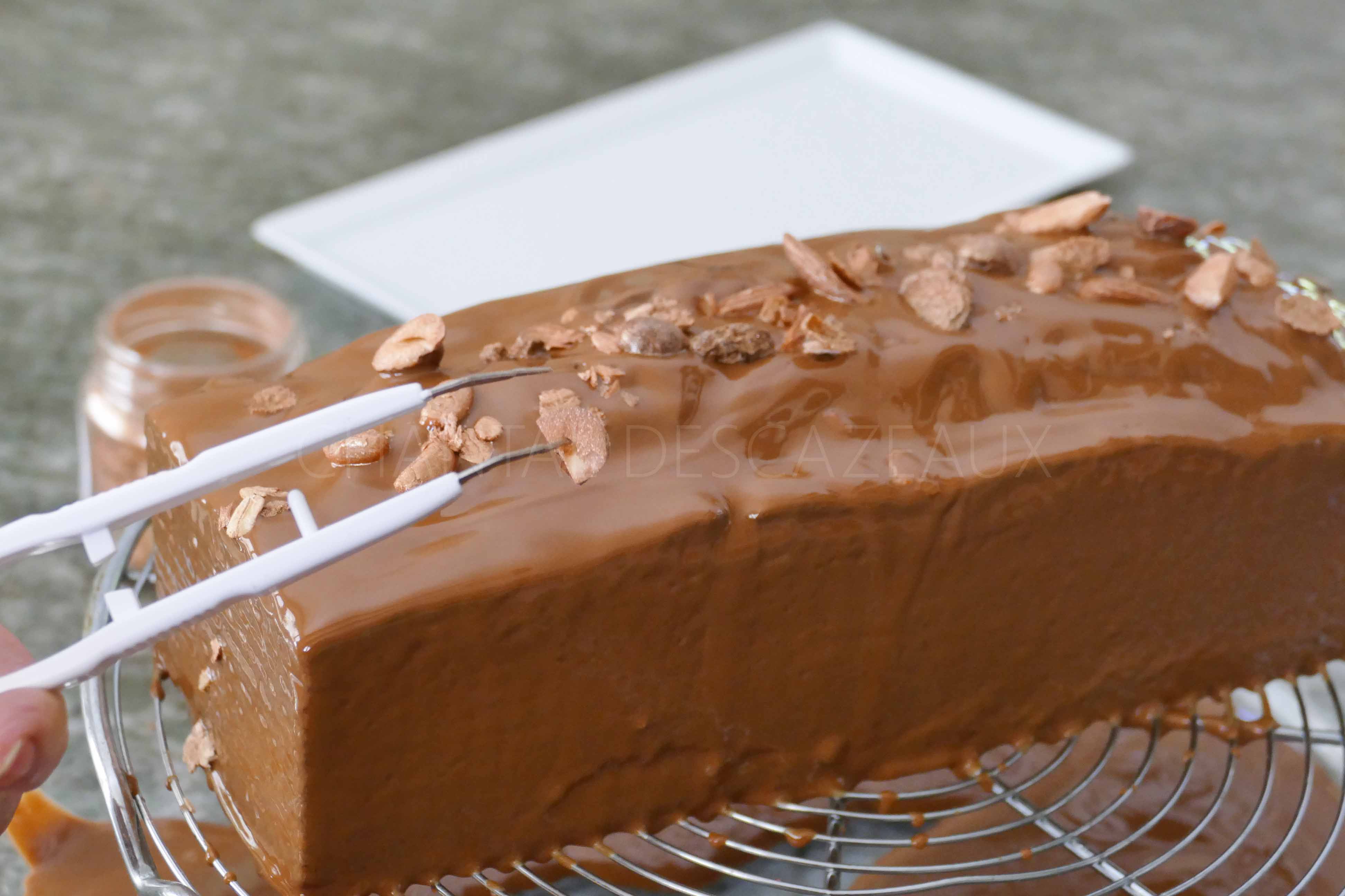 Cake Marbre Facon Savane Glacage Chocolat Au Lait Assiettes Gourmandes