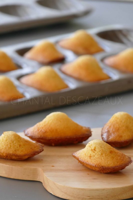 Recette madeleines