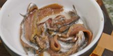 Condiment anchois