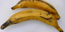 Bananes plantains