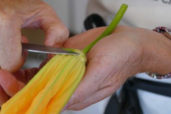 Retirer les sépales fleur de courgette