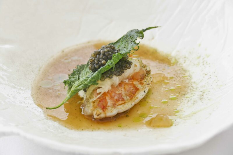 langoustine Ostapé