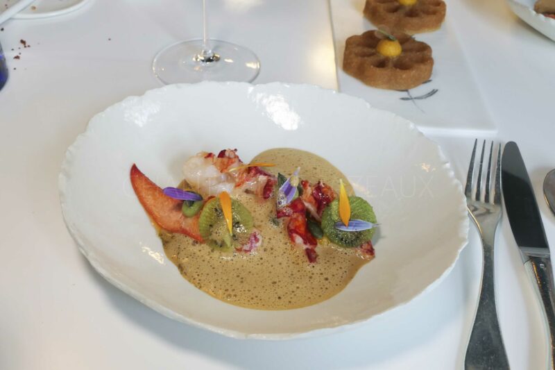 homard Oiseau Bleu Bordeaux
