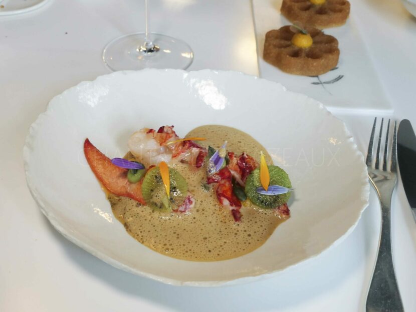 homard Oiseau Bleu Bordeaux