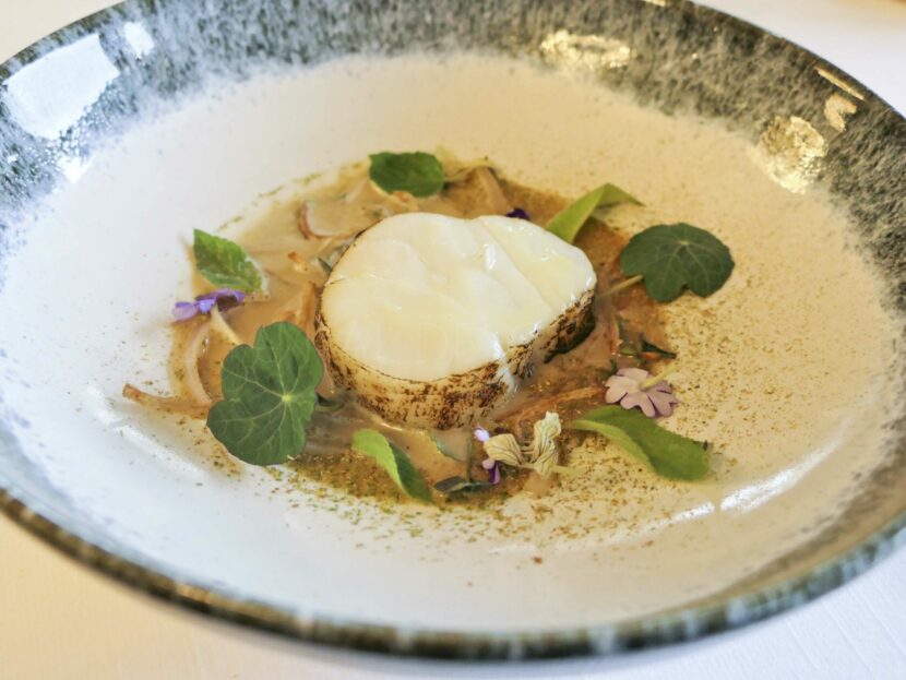 Frères Ibarboure : une histoire de famille et de talent