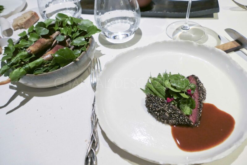 pigeon Sources de Caudalie